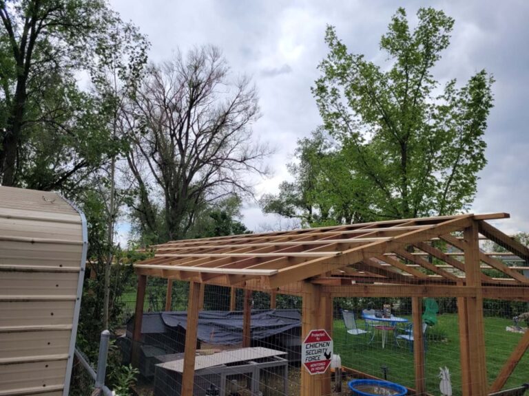 Chicken Coop Installation In Colorado Springs Custom Backyard Coops