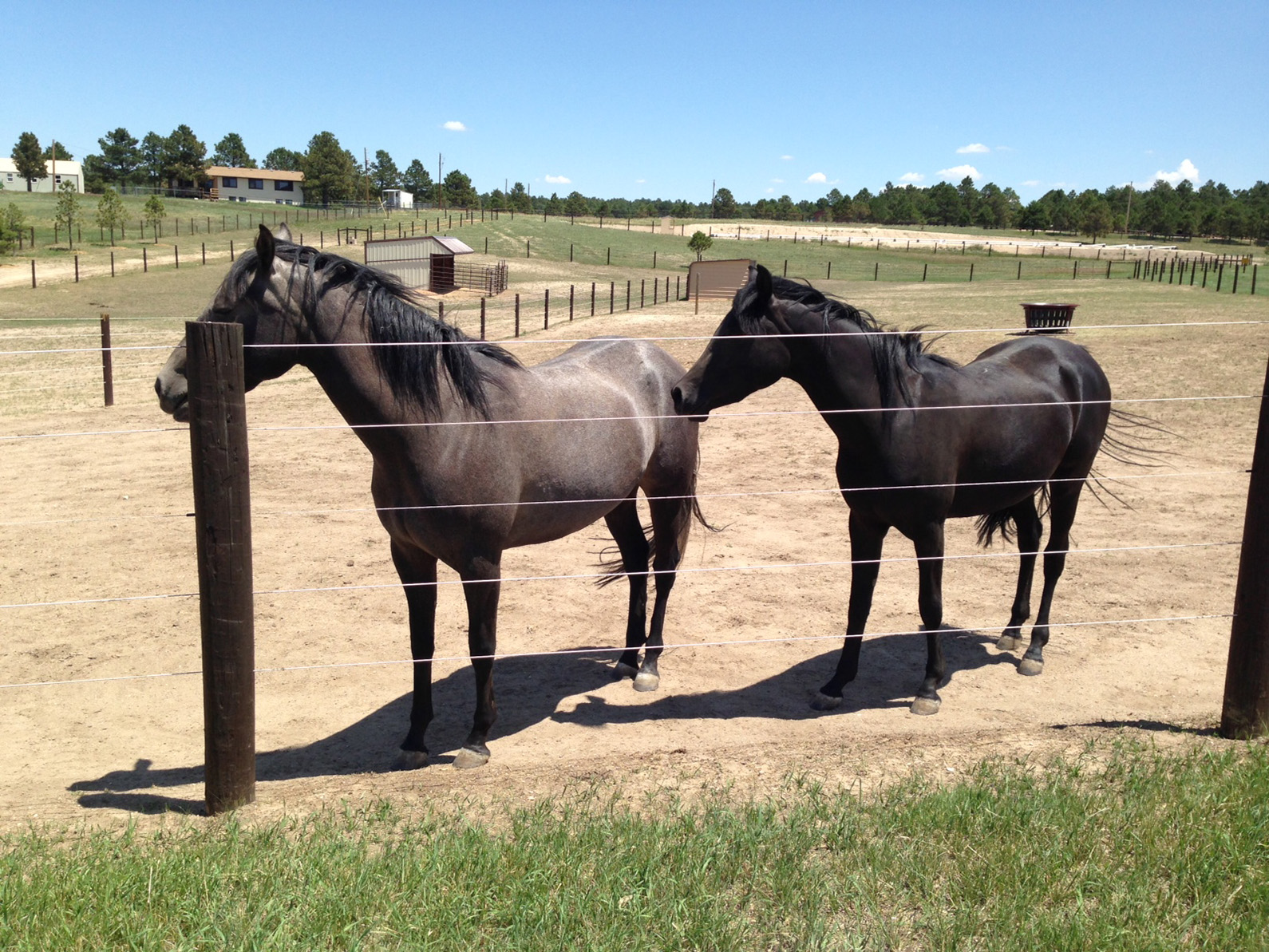 Farm Fencing Peak Fencing